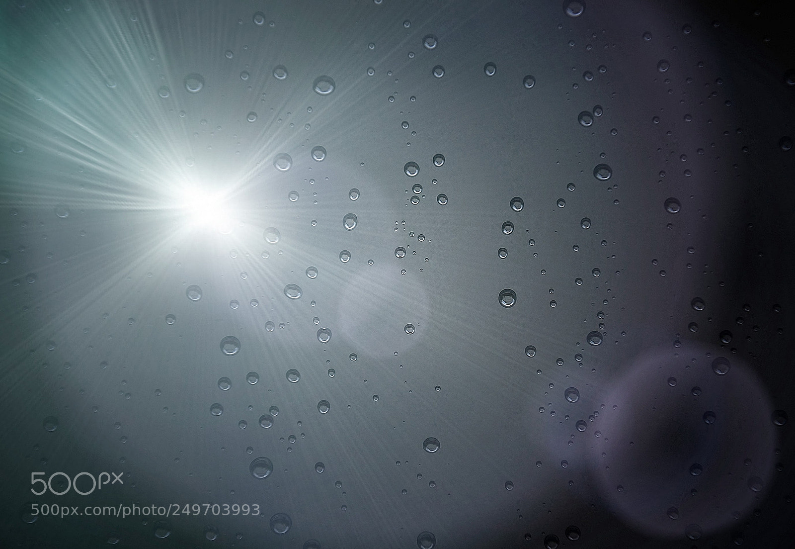 Nikon D3100 sample photo. Gotas de agua photography
