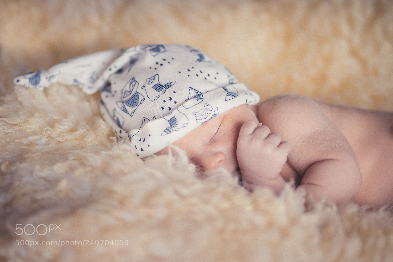 Sony a7 II sample photo. Woolly sleep photography
