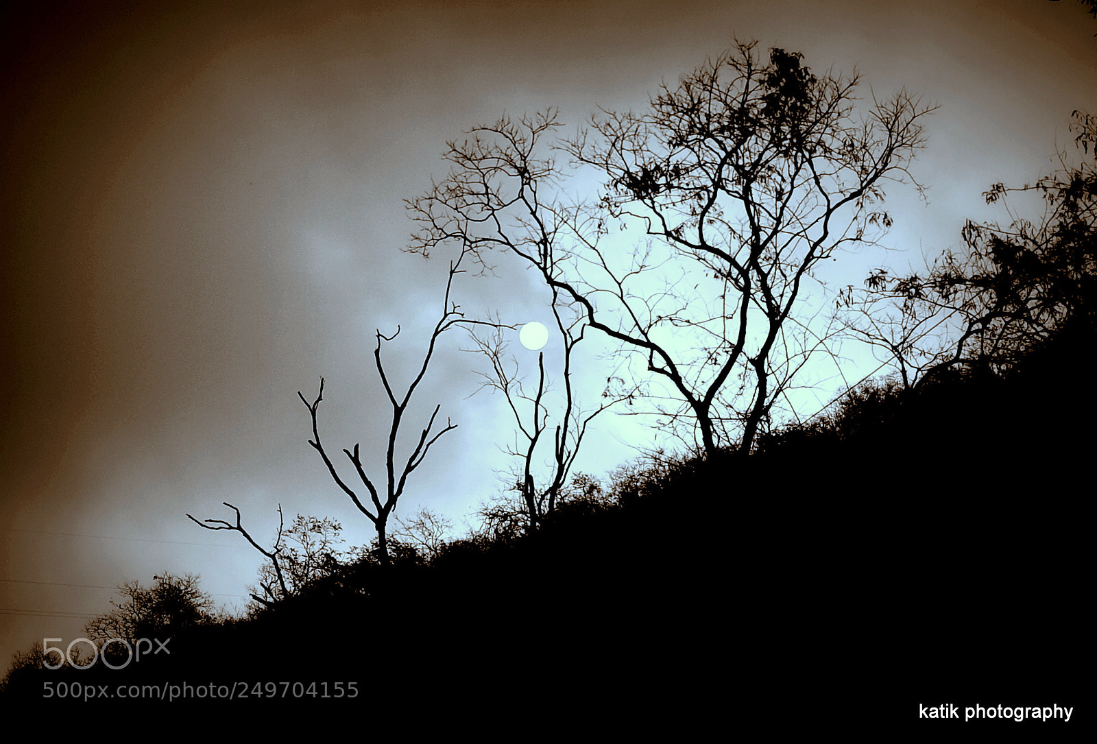 Nikon D90 sample photo. Beauty of sunlight photography