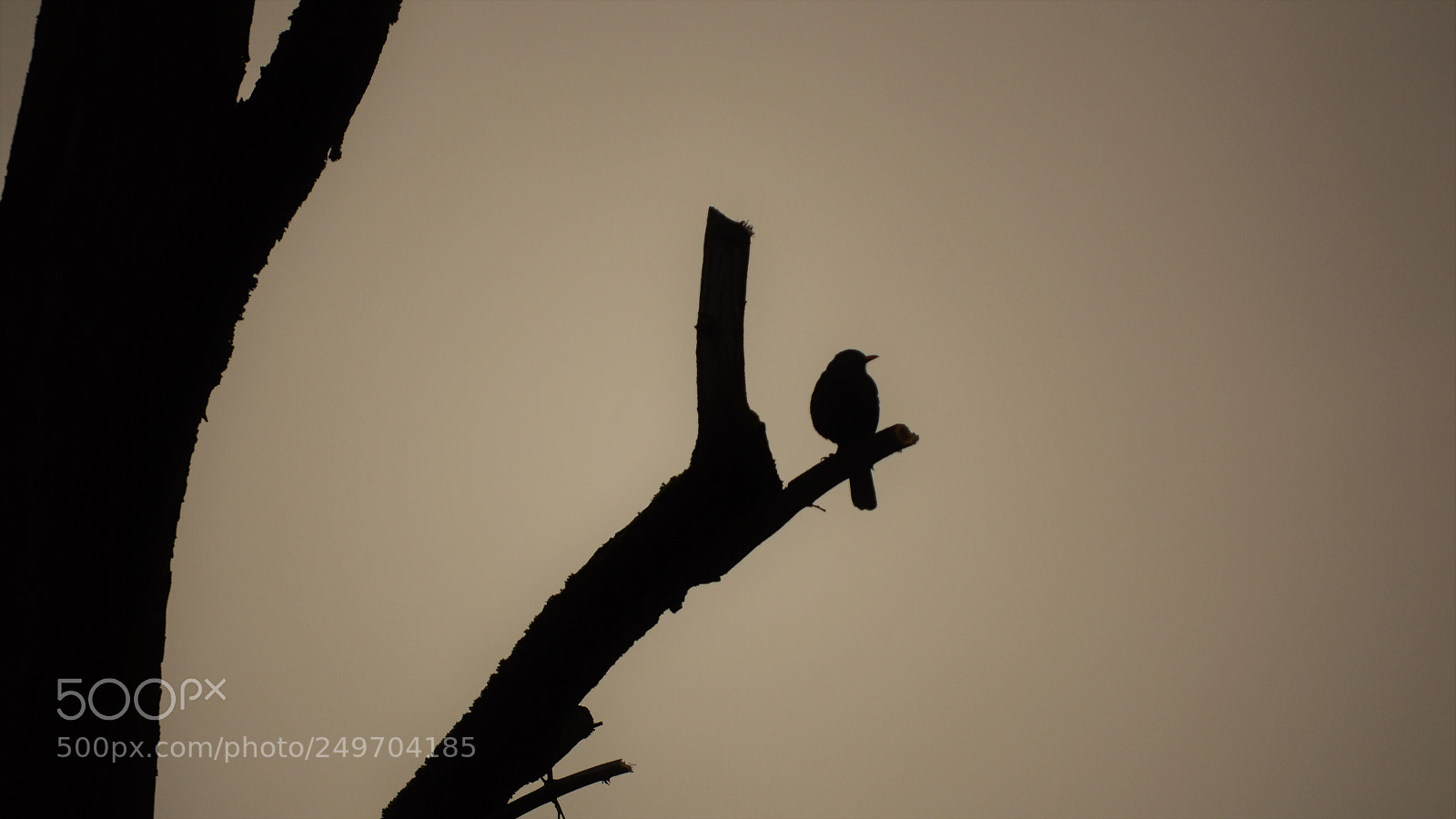 Nikon D3200 sample photo. Untitled photography