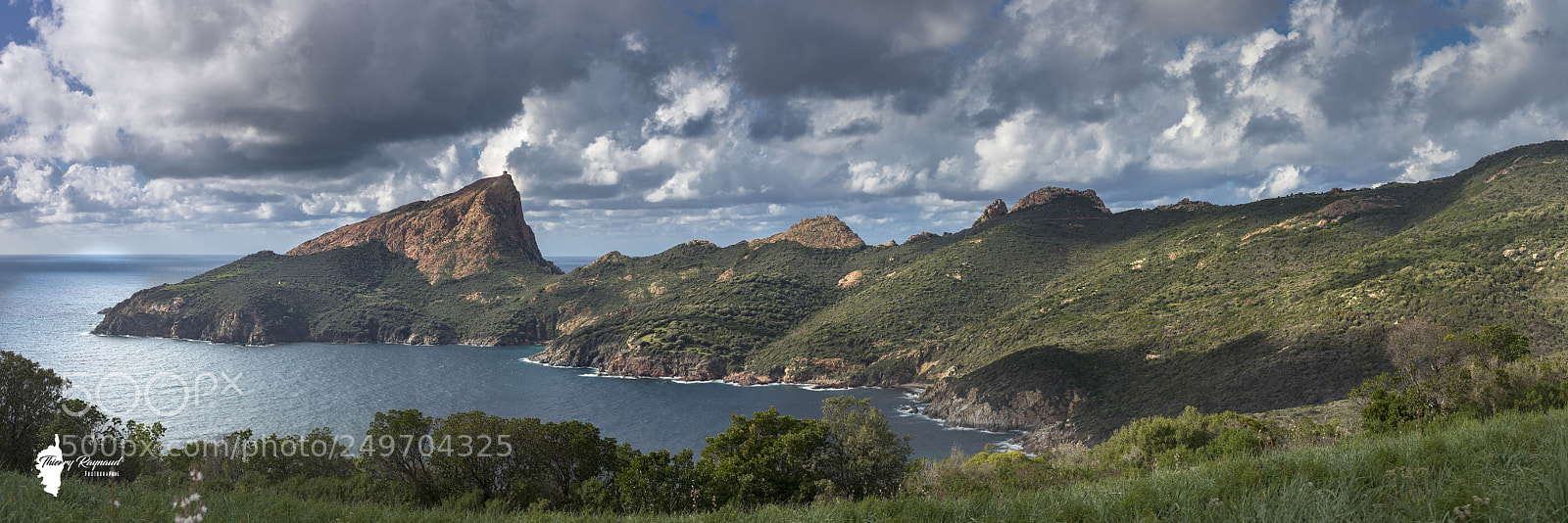 Nikon D600 sample photo. Capo rosso photography