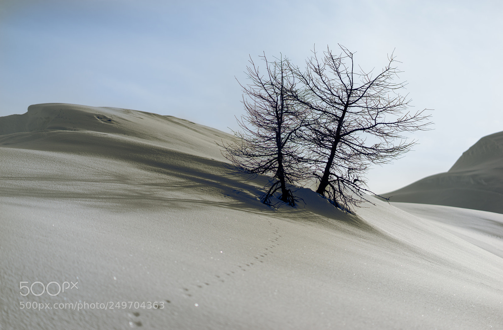 Sony a7 sample photo. Winterlandschaft photography