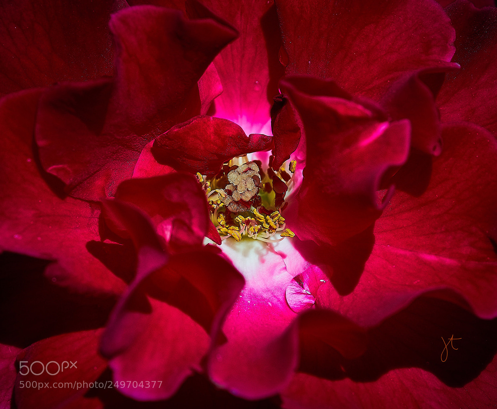 Sony a7R II sample photo. True colors photography