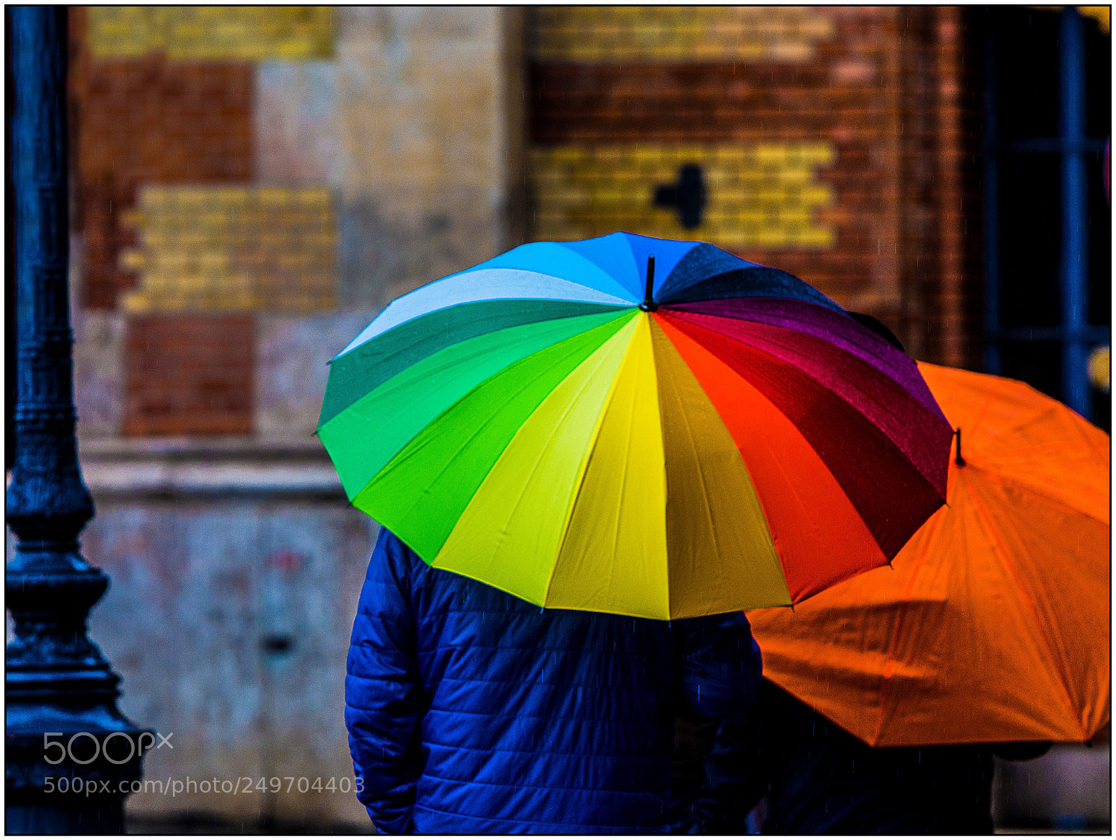 Nikon D7100 sample photo. Colors photography