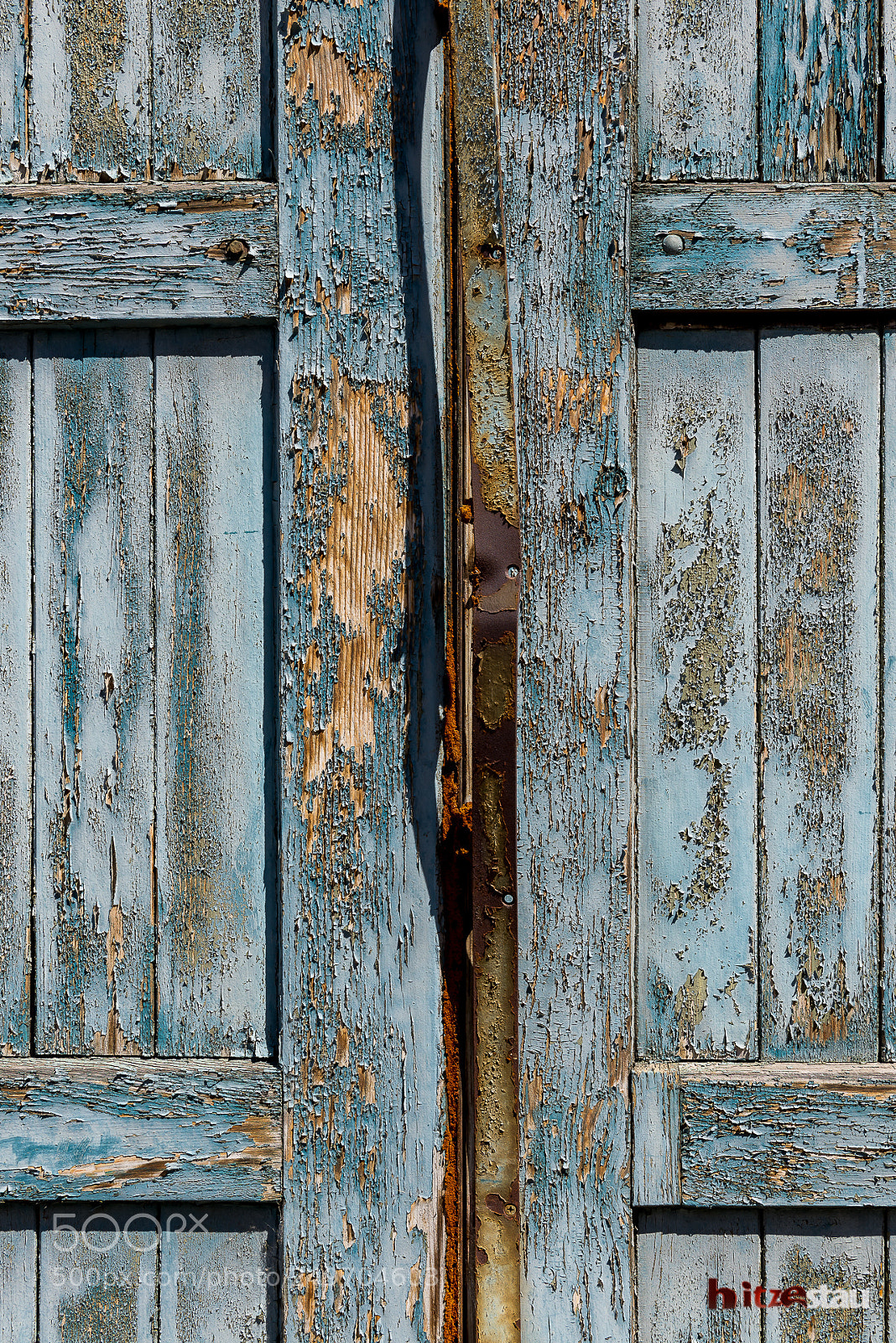 Nikon D610 sample photo. Paint peeling of photography