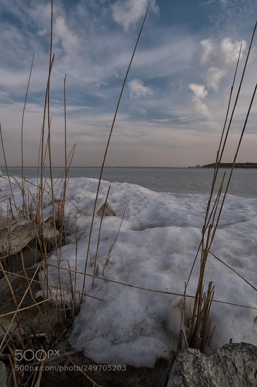 Fujifilm X-Pro2 sample photo. Dutch landscape photography