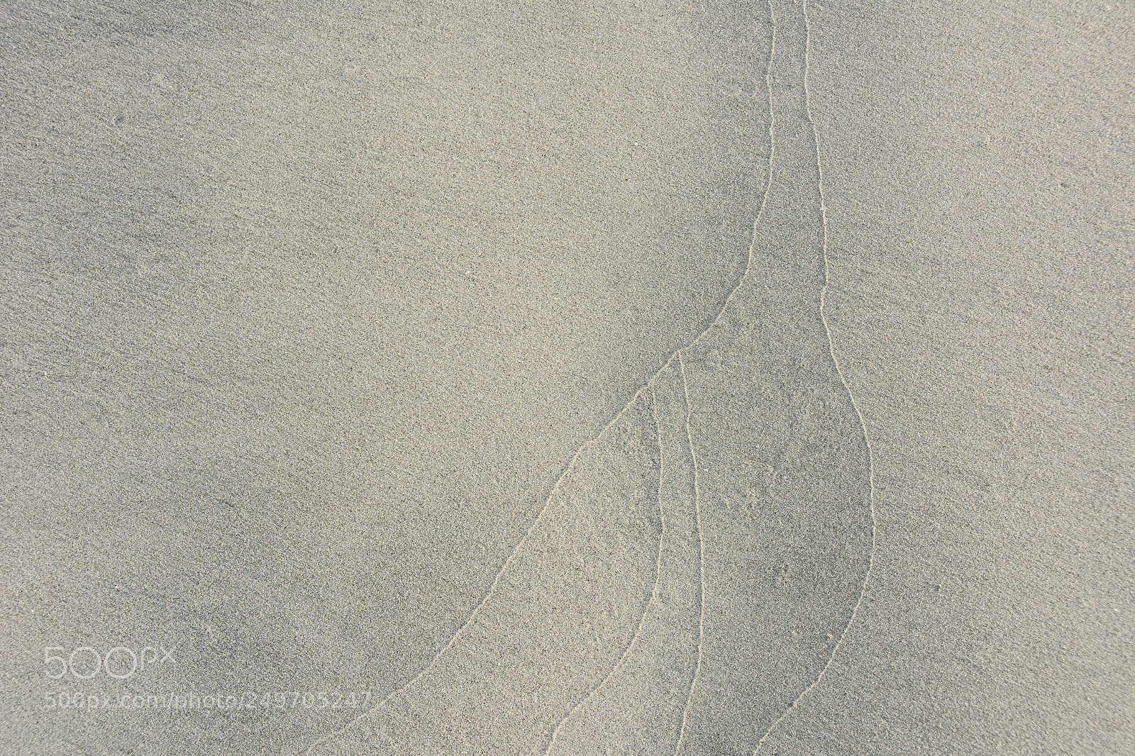 Nikon D7100 sample photo. Written in sand photography