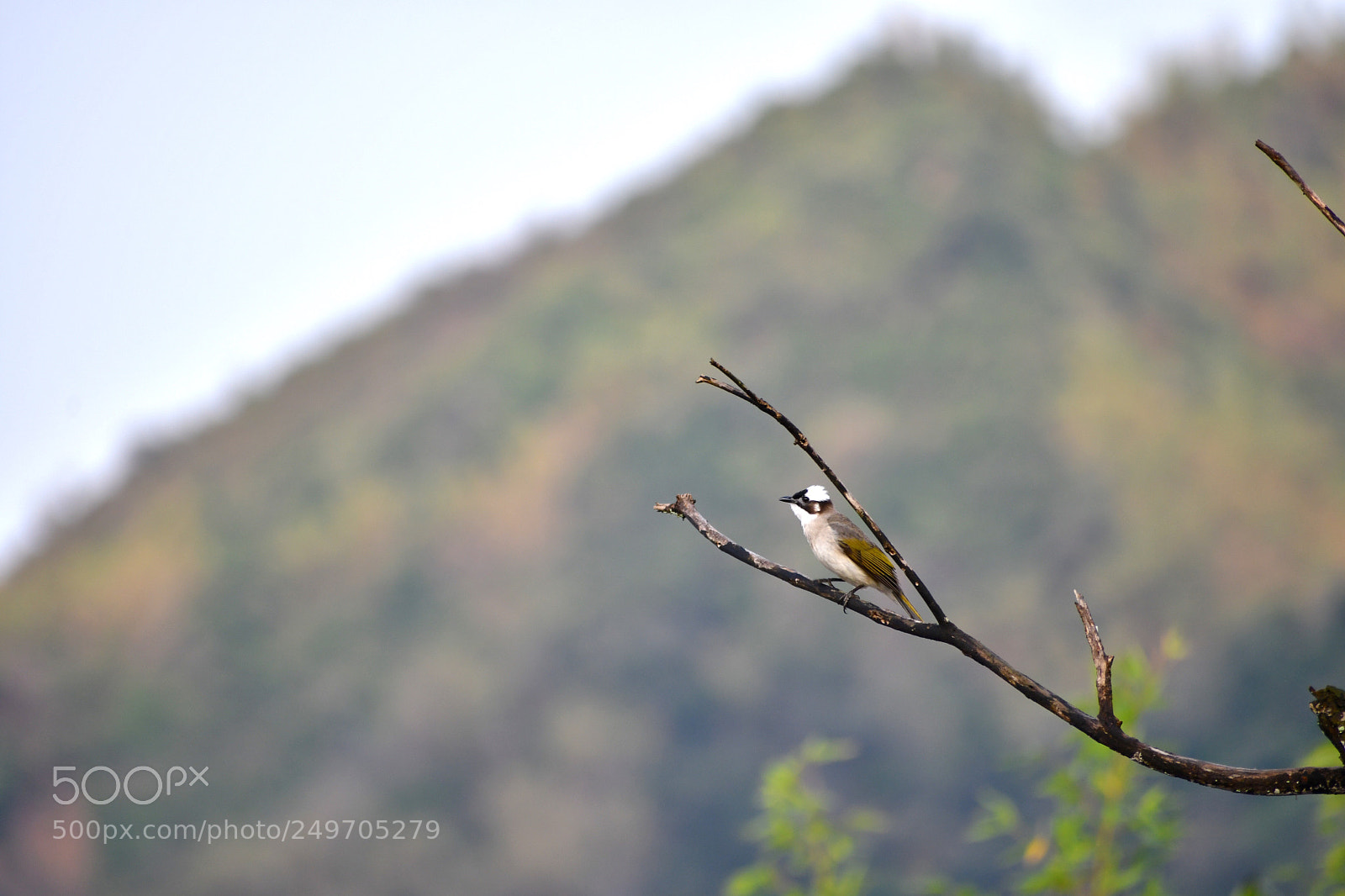 Nikon D7500 sample photo. Untitled photography