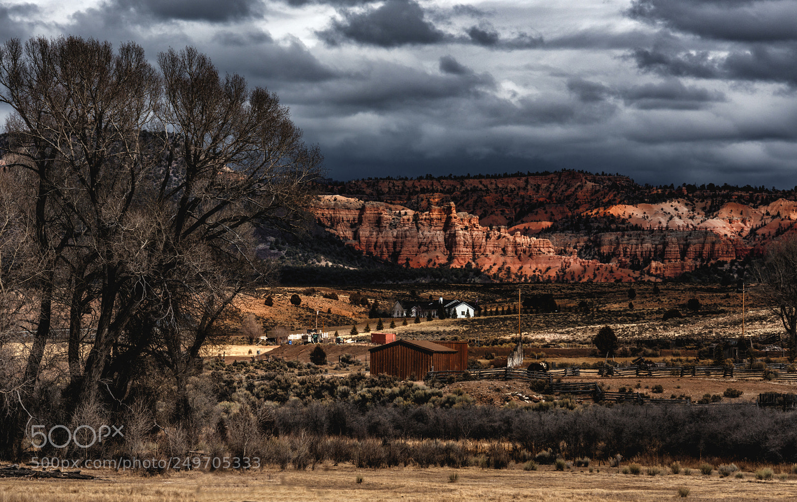 Nikon D800 sample photo. 89 road photography