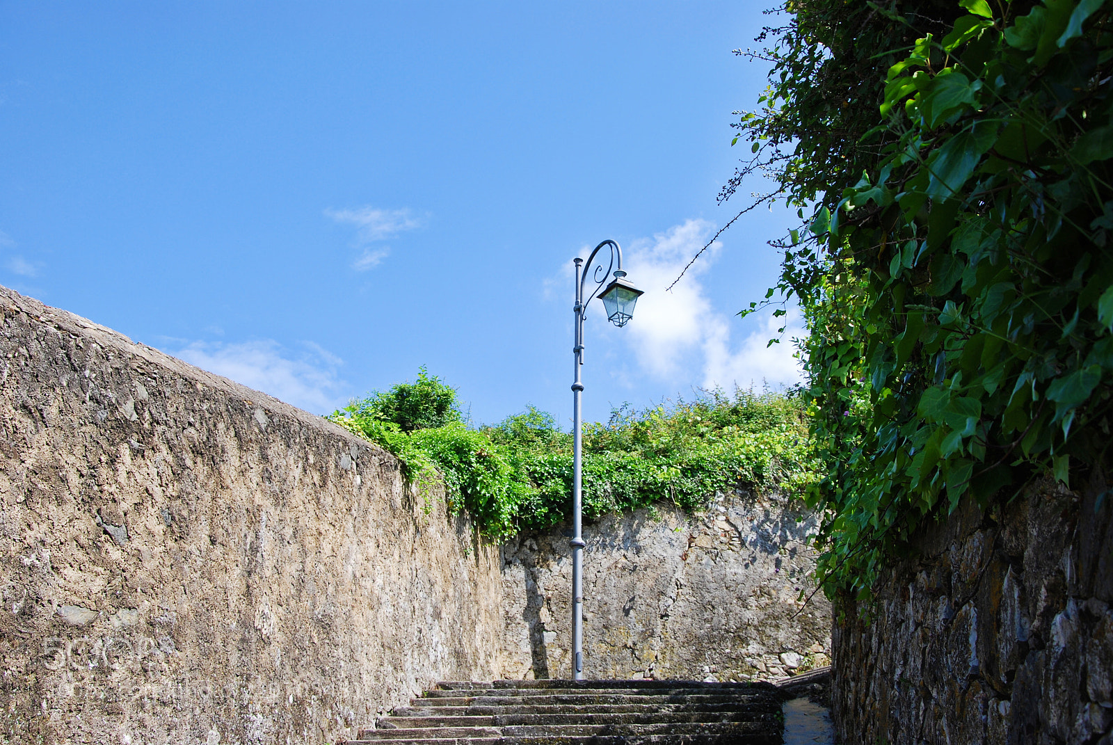 Nikon D60 sample photo. Lamp off photography