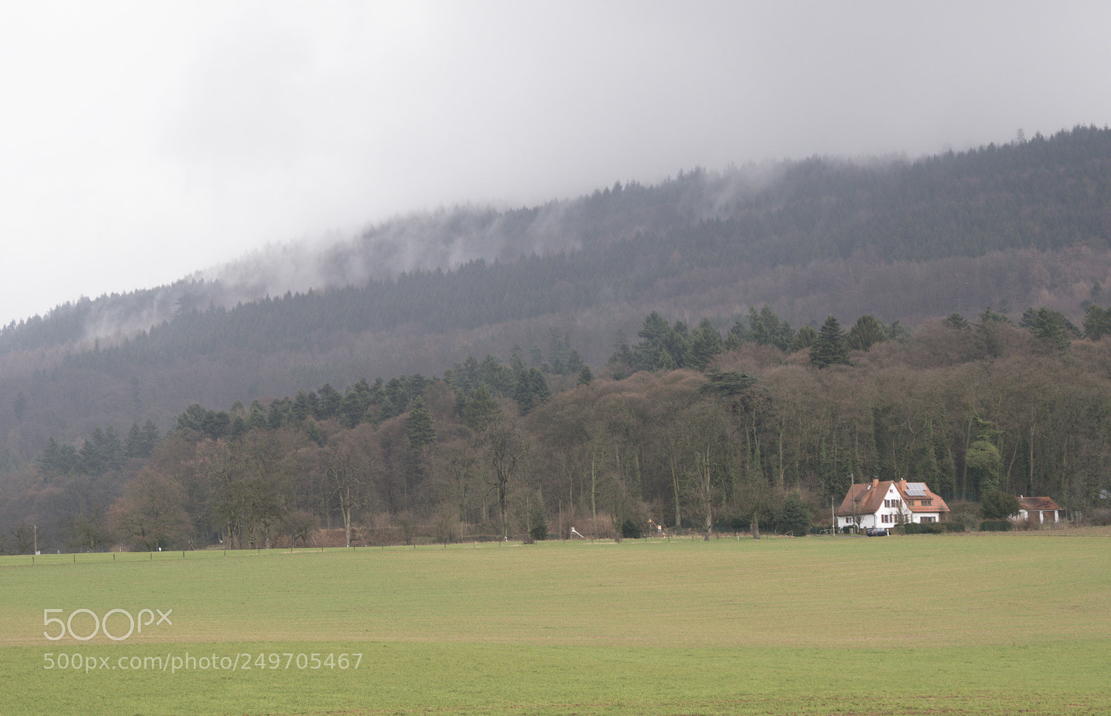 Panasonic DMC-G70 sample photo. Misty hill photography