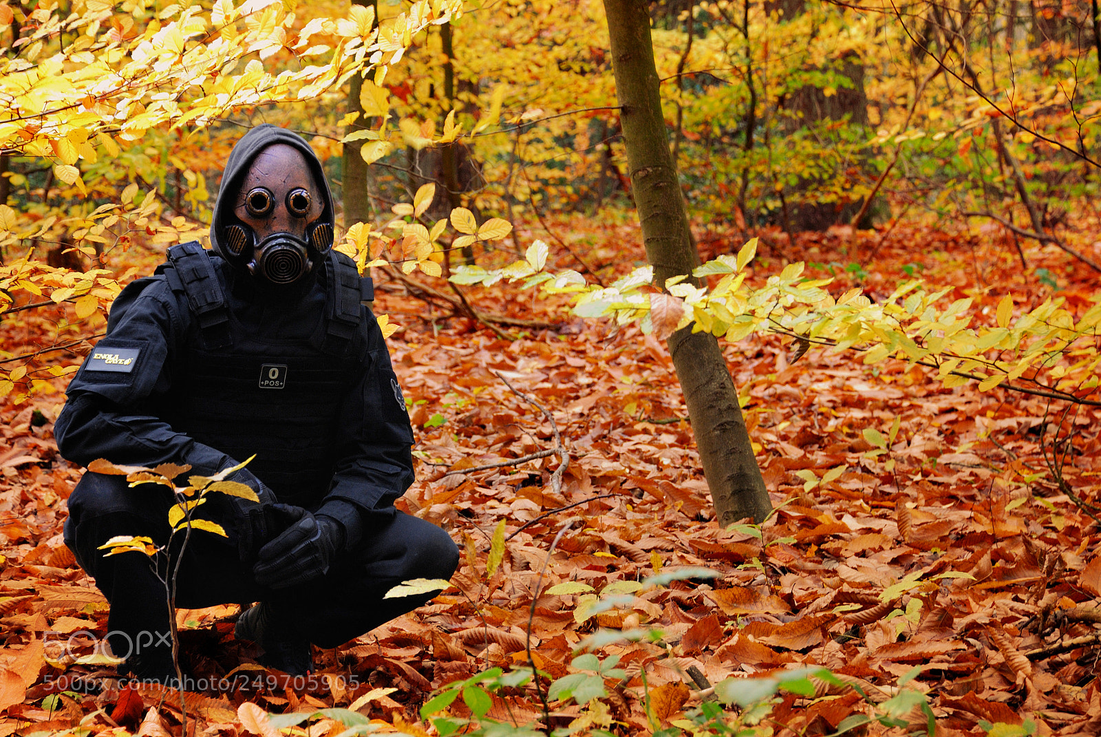 Nikon D60 sample photo. Autumnales photography
