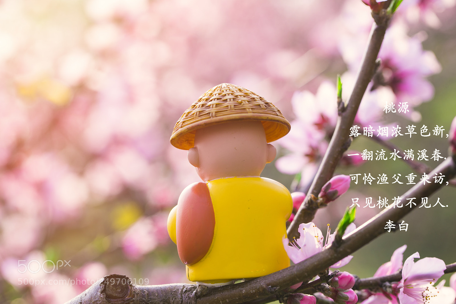 Canon EOS 5D Mark IV sample photo. Da photography