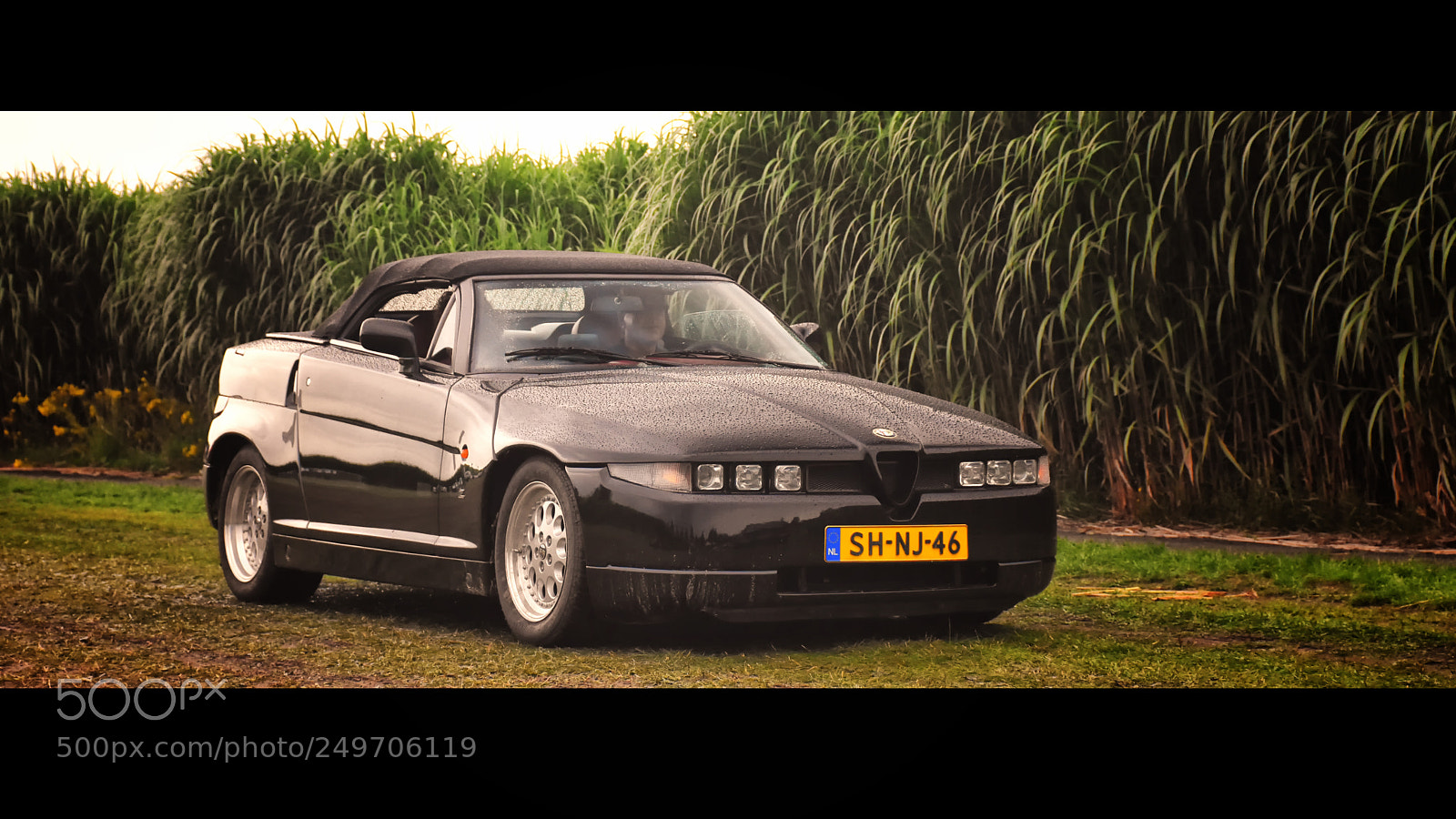 Nikon D7200 sample photo. Alfa romeo rz (zagato) photography