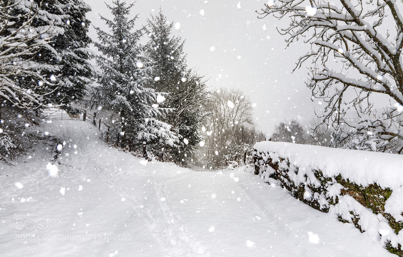 Canon EOS 5D Mark IV sample photo. Sunday snow photography