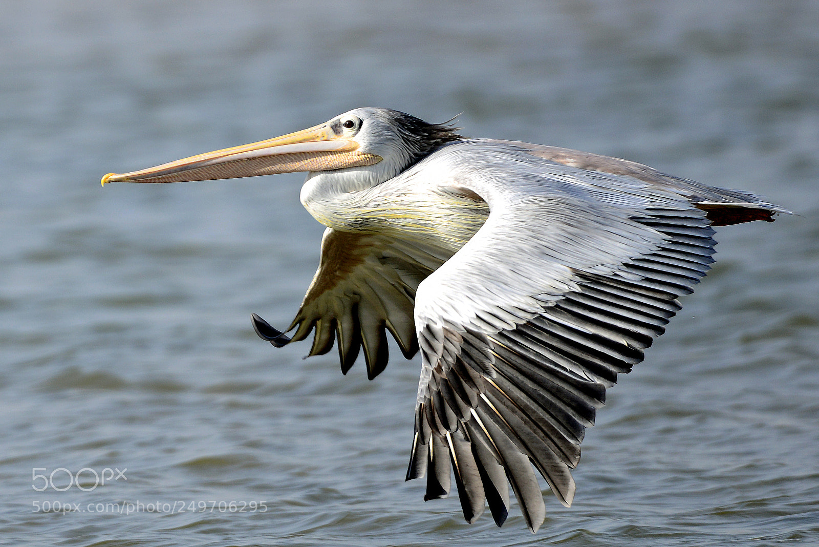 Nikon D800E sample photo. B52 photography