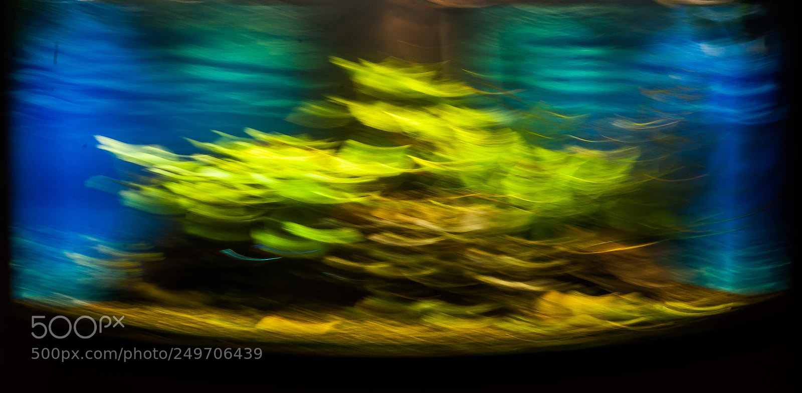 Canon EOS 5D sample photo. Blurry.  photography