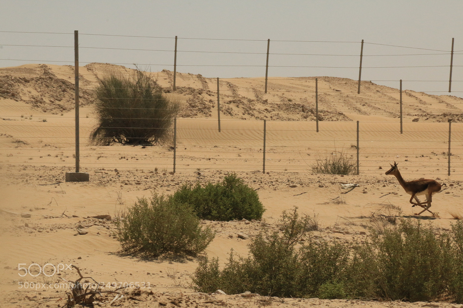 Canon EOS 70D sample photo. Img photography