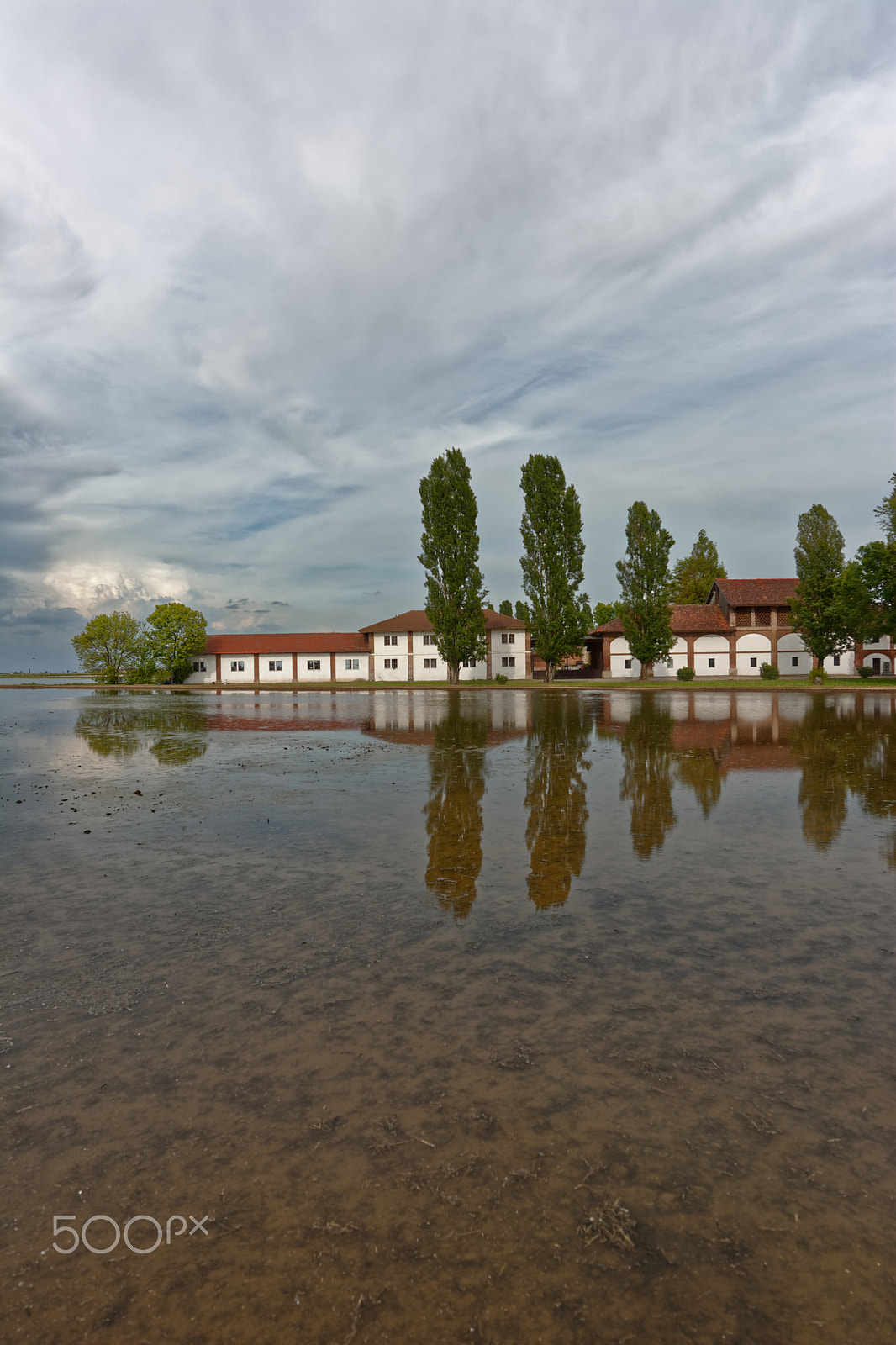 Nikon D7100 + Nikon AF-S Nikkor 14-24mm F2.8G ED sample photo. Reflections in the rice fields photography