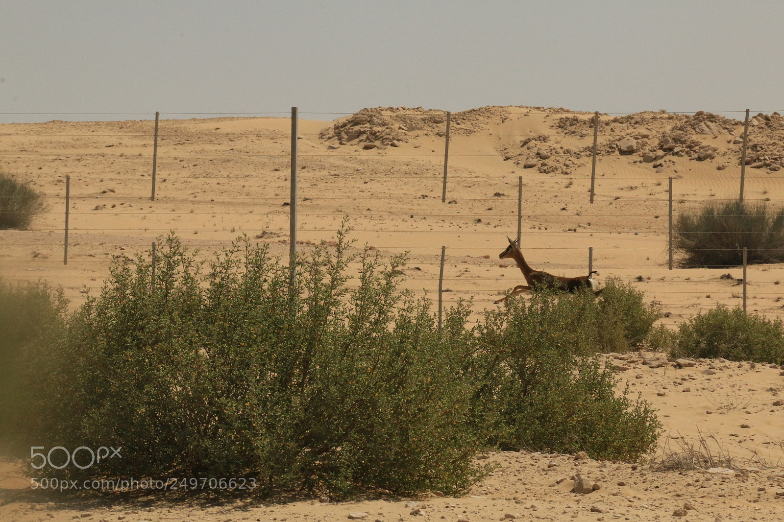 Canon EOS 70D sample photo. Img photography