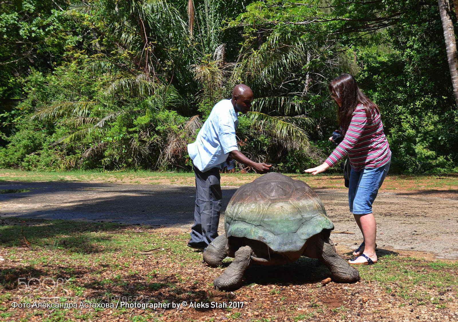 Nikon D3200 sample photo. Africa photography