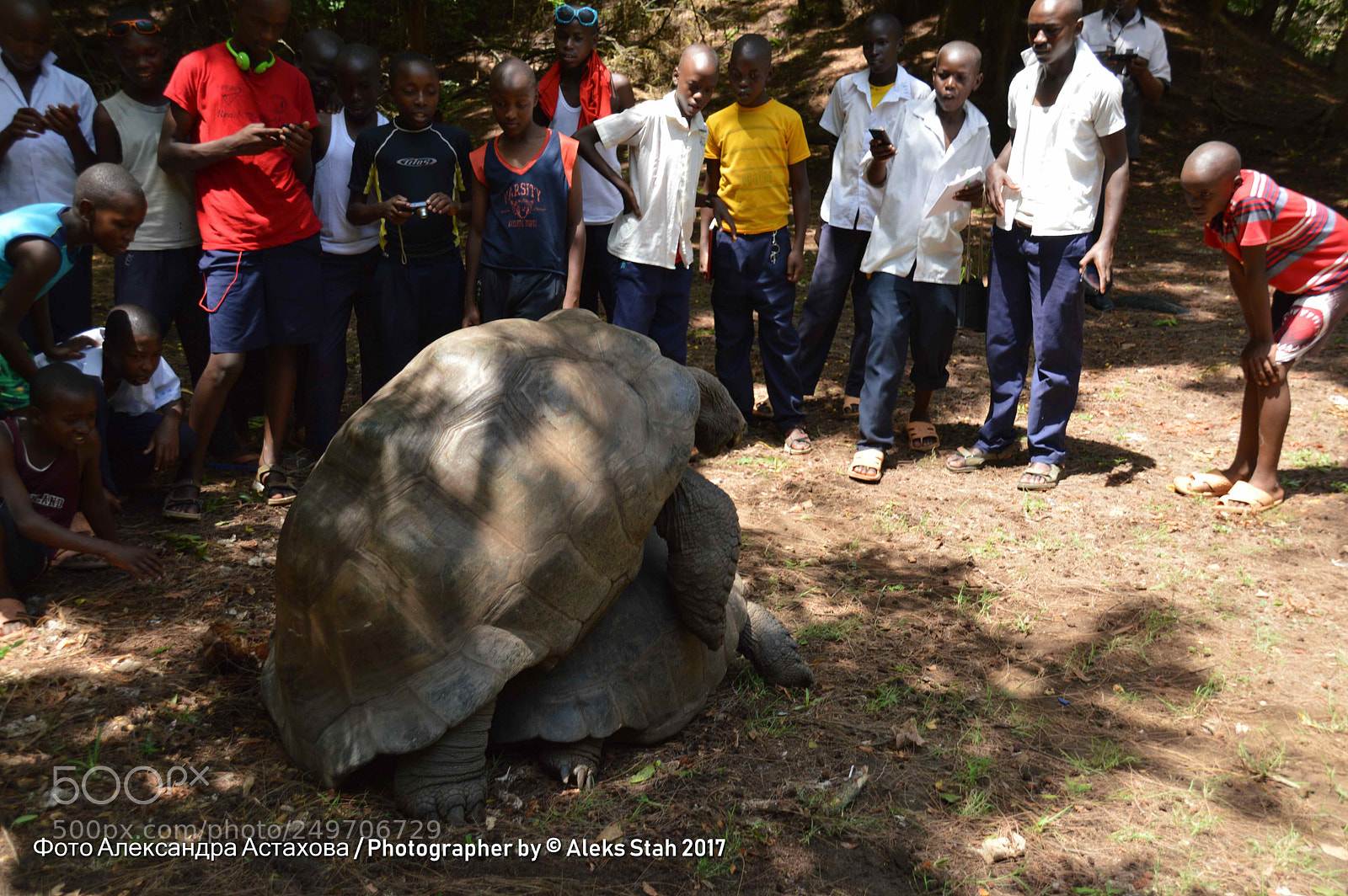 Nikon D3200 sample photo. Africa photography