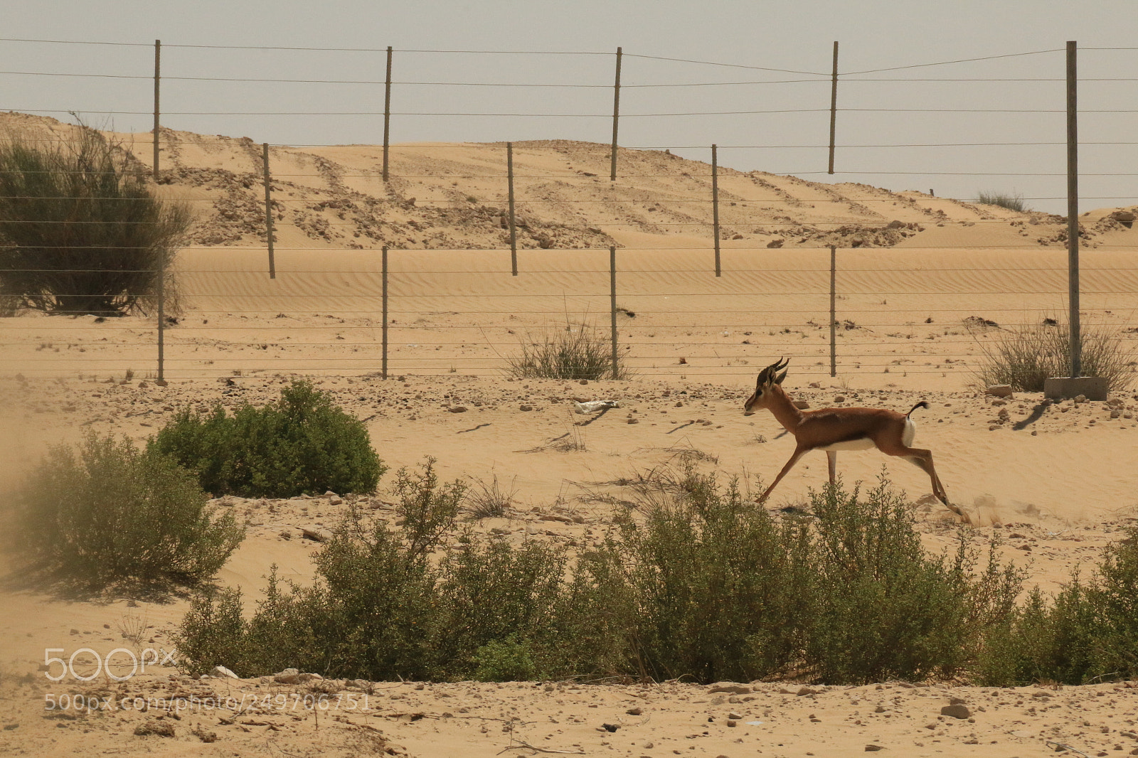 Canon EOS 70D sample photo. Img photography