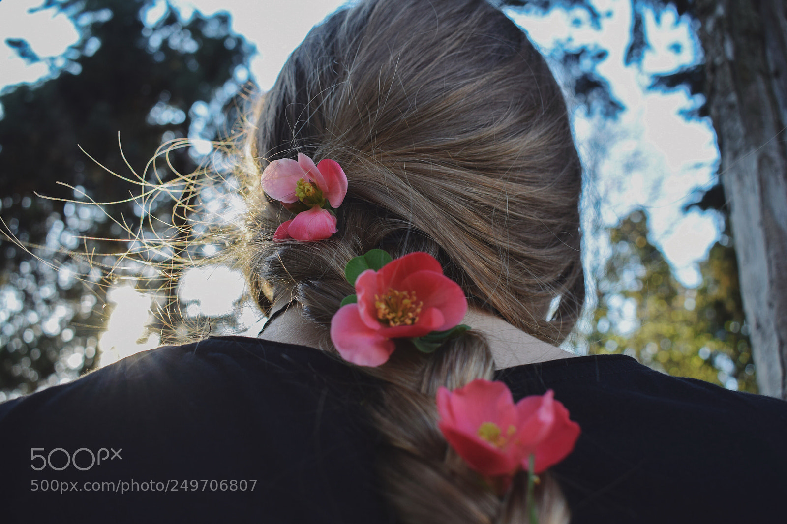 Nikon D5300 sample photo. Flower power photography