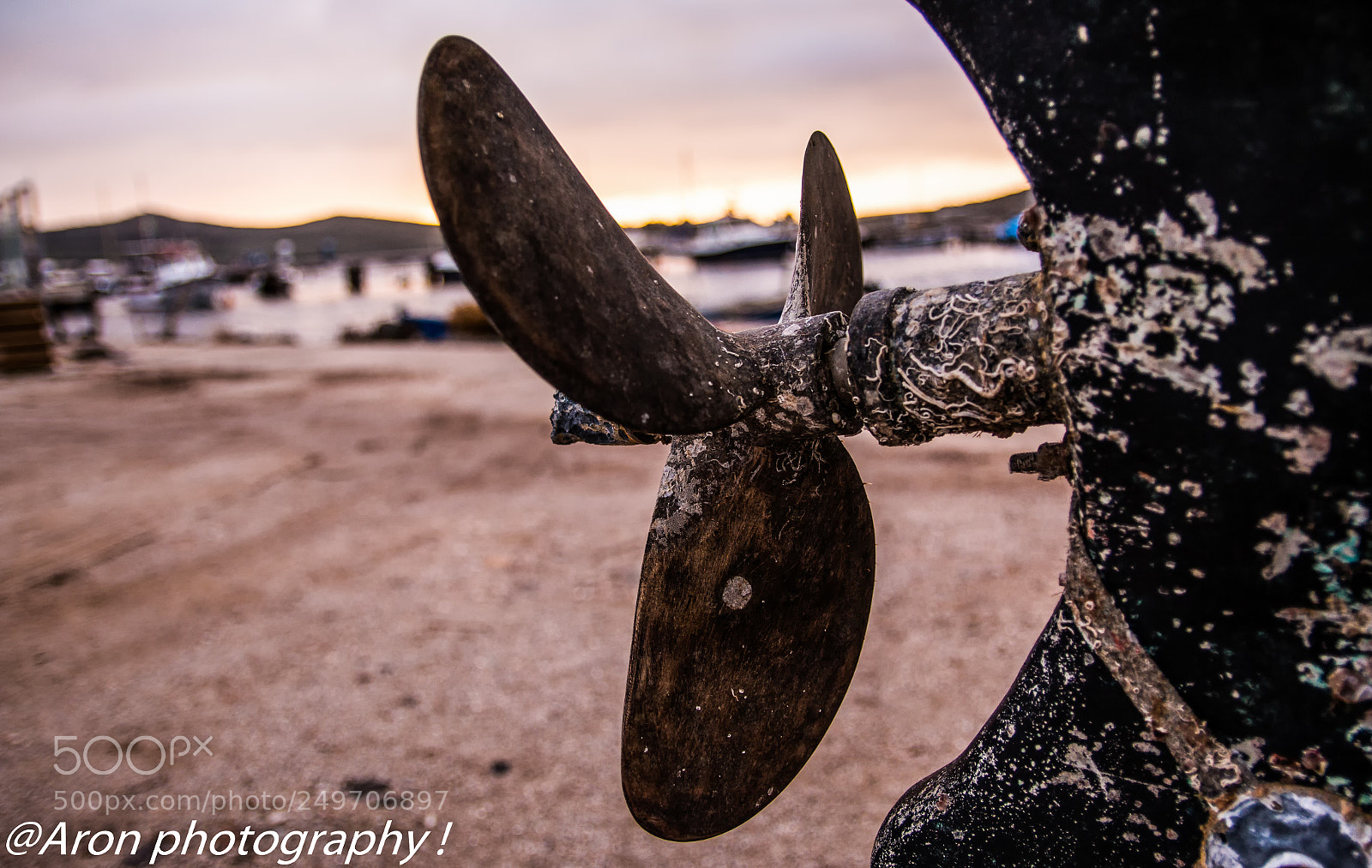 Canon EOS 70D sample photo. Dettagli al mare ! photography