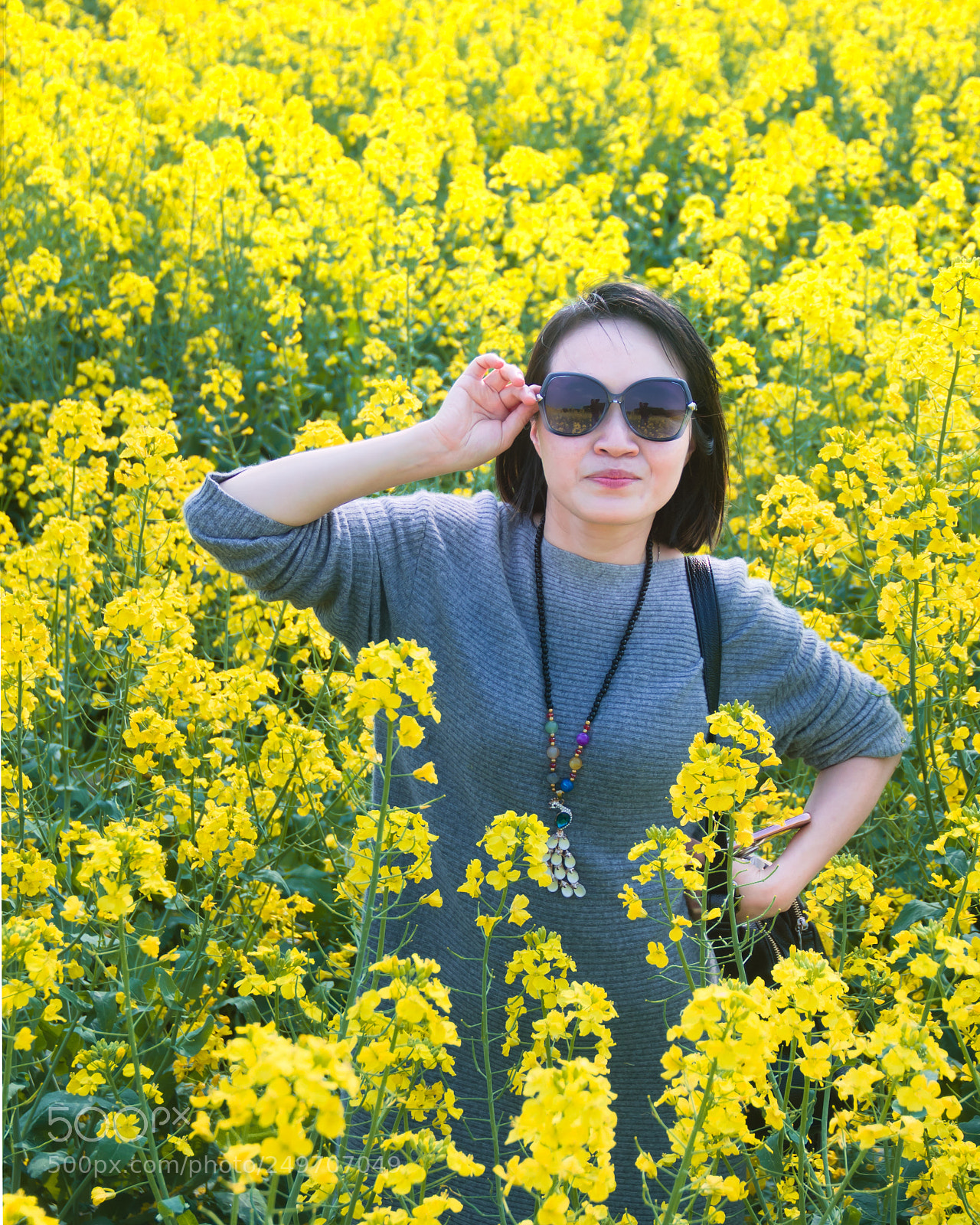 Canon EOS 550D (EOS Rebel T2i / EOS Kiss X4) sample photo. 油菜田里看春光 photography