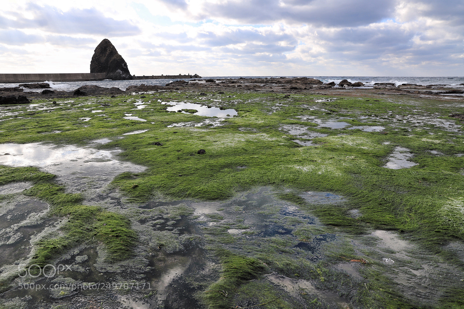 Canon EOS 6D Mark II sample photo. Untitled photography