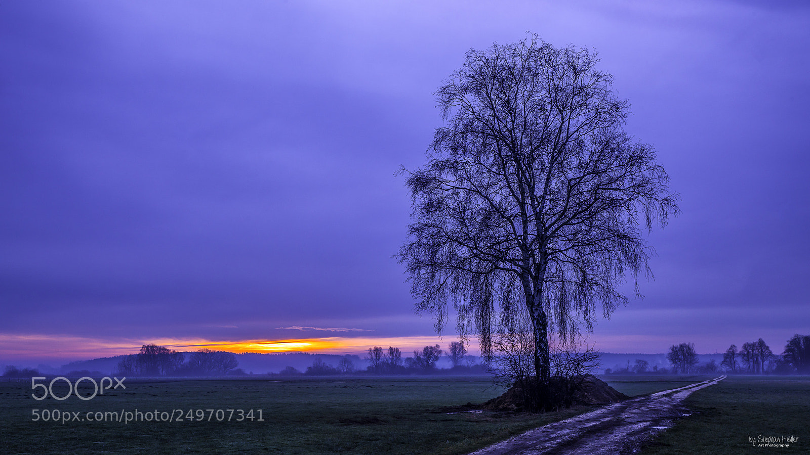 Sony a99 II sample photo. Birke photography