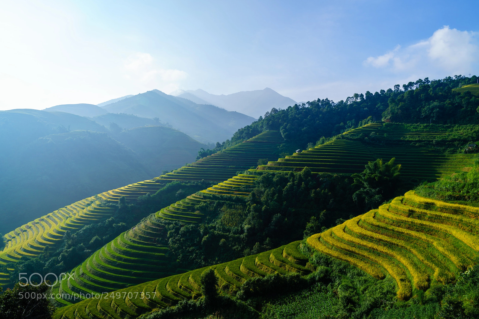 Sony a7R II sample photo. Terrace field in early photography