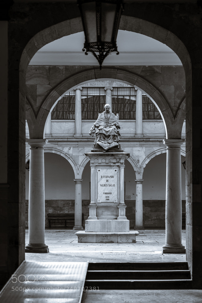 Canon EOS 80D sample photo. Campus oviedo centro uo photography