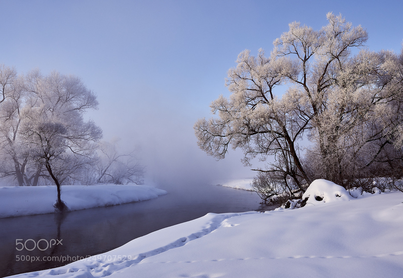 Nikon D810 sample photo. Frosty march morning photography
