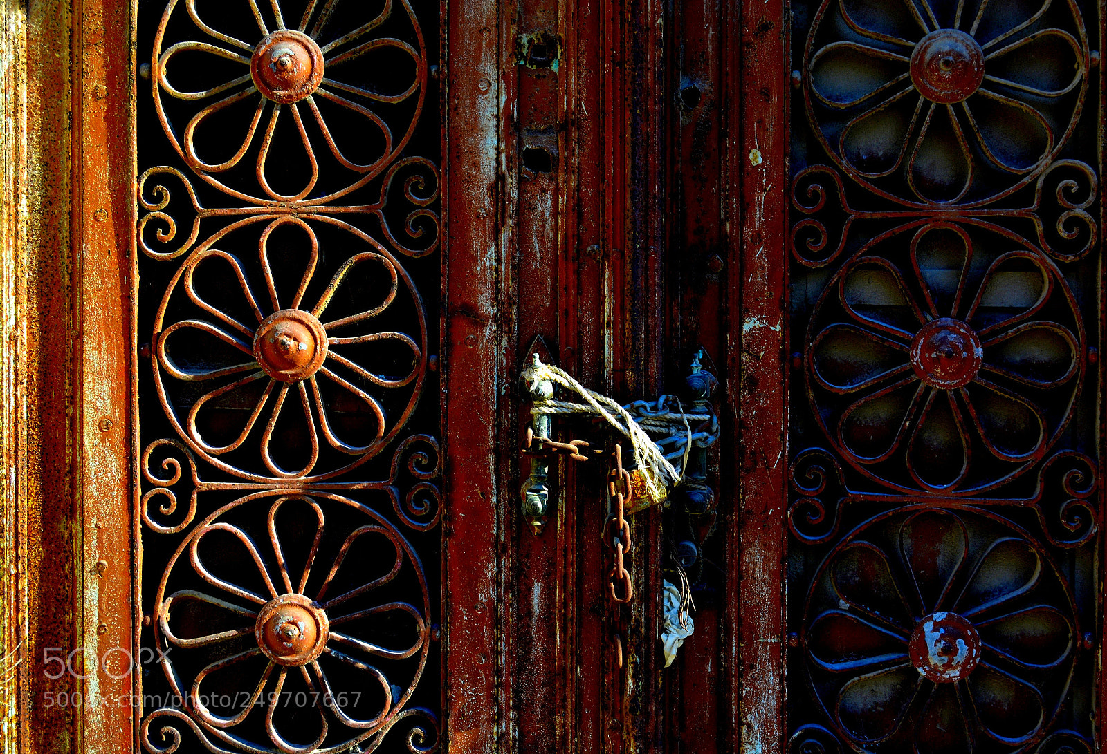 Nikon D5200 sample photo. Setting you free photography