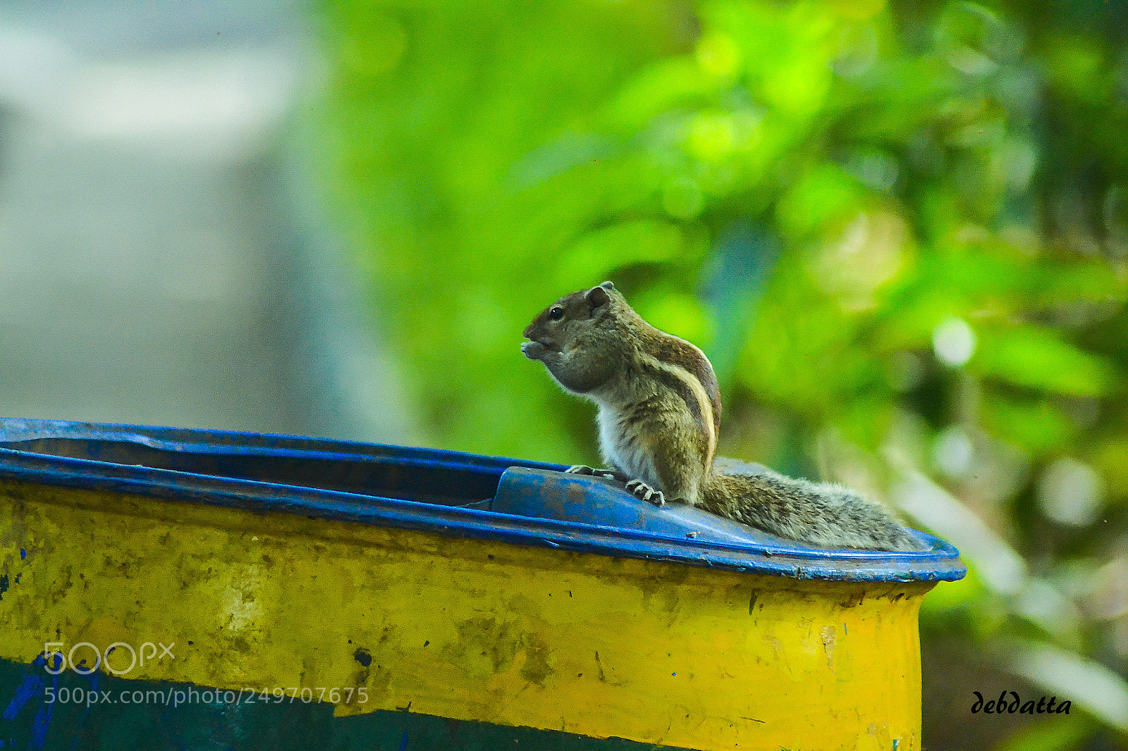 Nikon D3100 sample photo. Lunch time photography