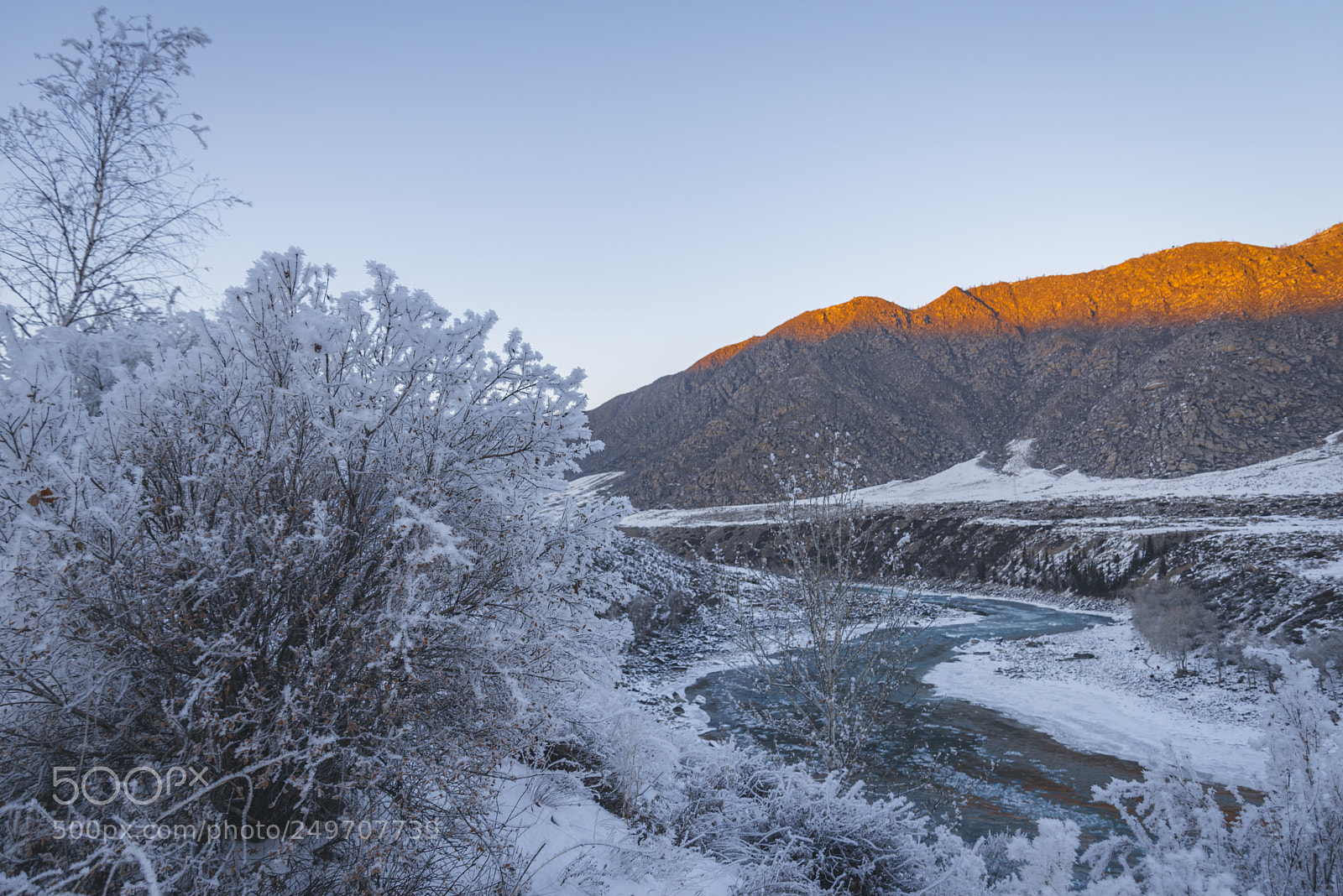 Nikon D610 sample photo. Katun river photography