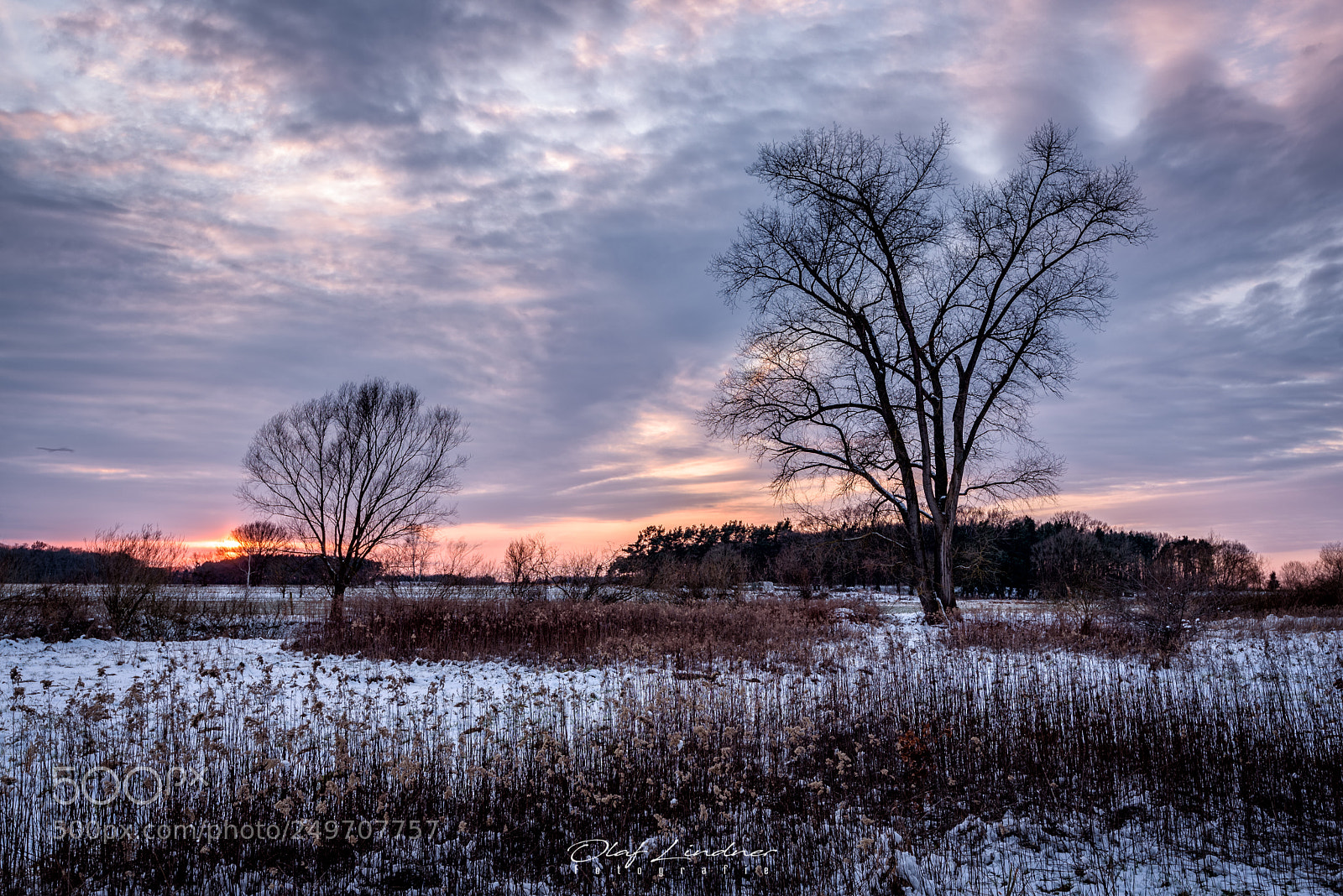 Nikon D750 sample photo. Winter sunset photography