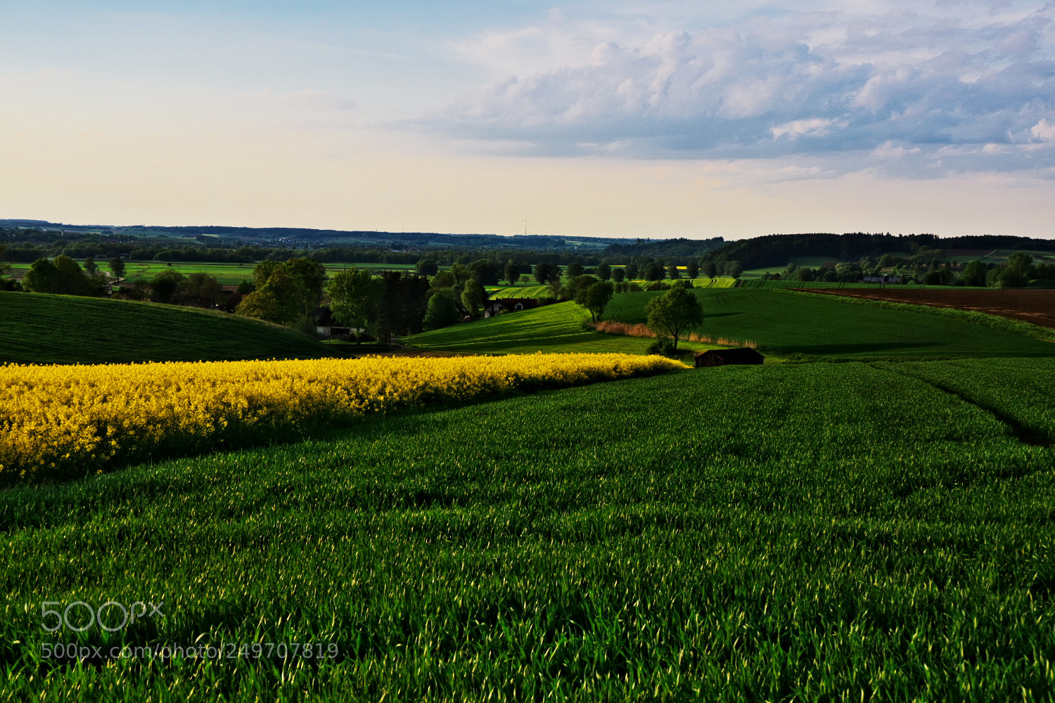 Sony a6000 sample photo. Nach dem regen, sonne photography