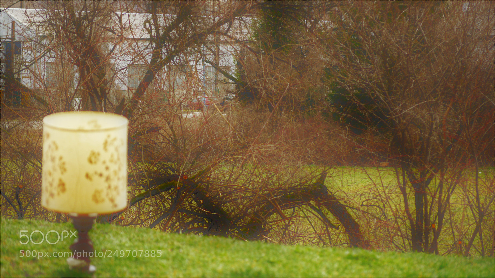 Nikon D3200 sample photo. Untitled photography