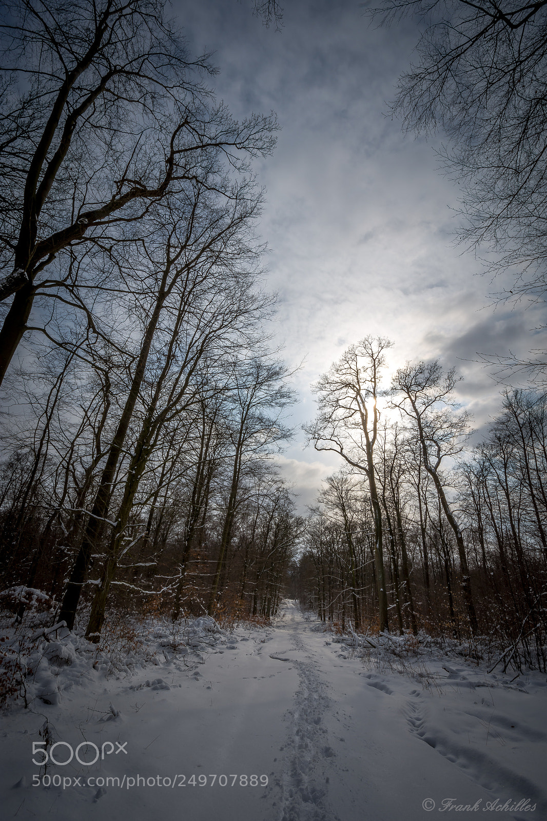 Nikon D7200 sample photo. Snow forrest photography