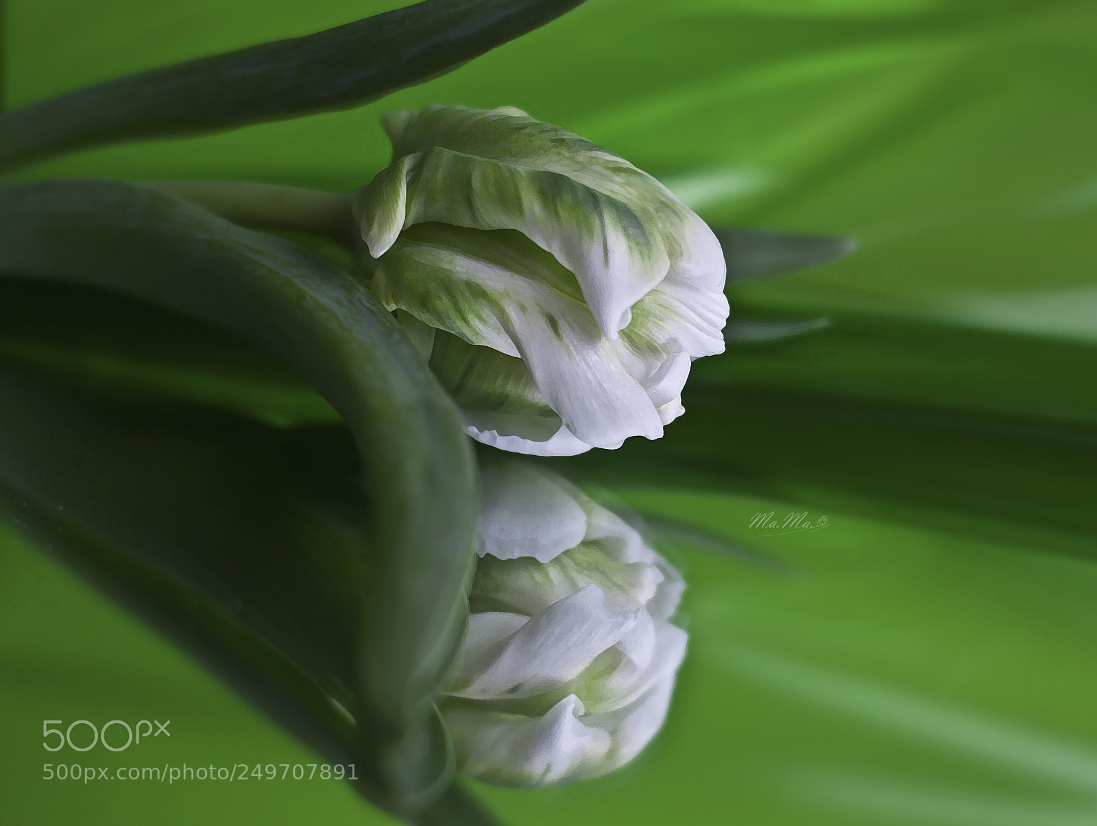 Canon EOS 50D sample photo. Nastroje photography