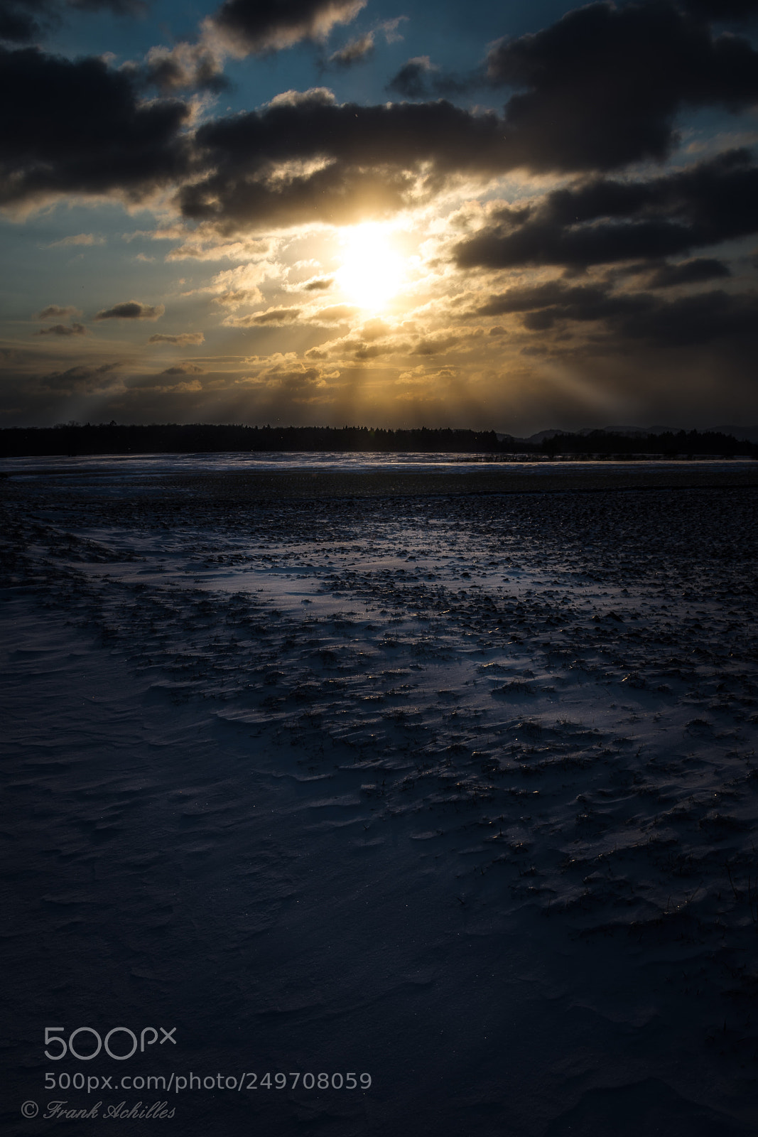 Nikon D7200 sample photo. Winter's day photography