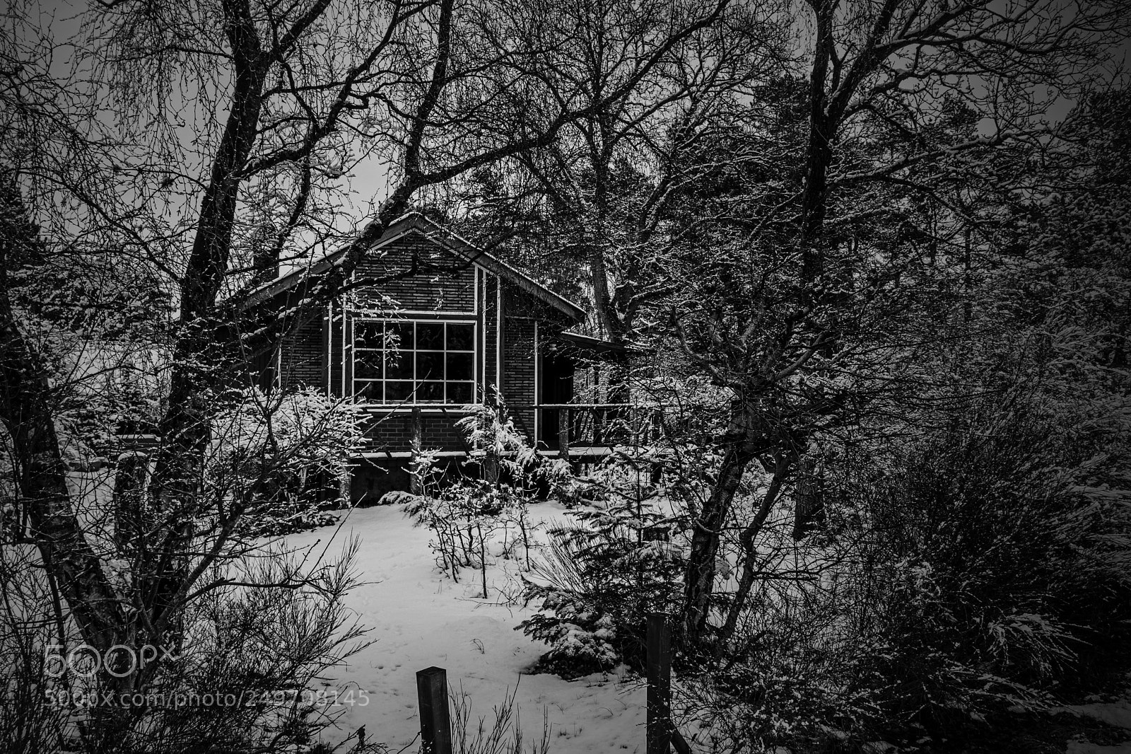 Canon EOS 80D sample photo. Winter photography