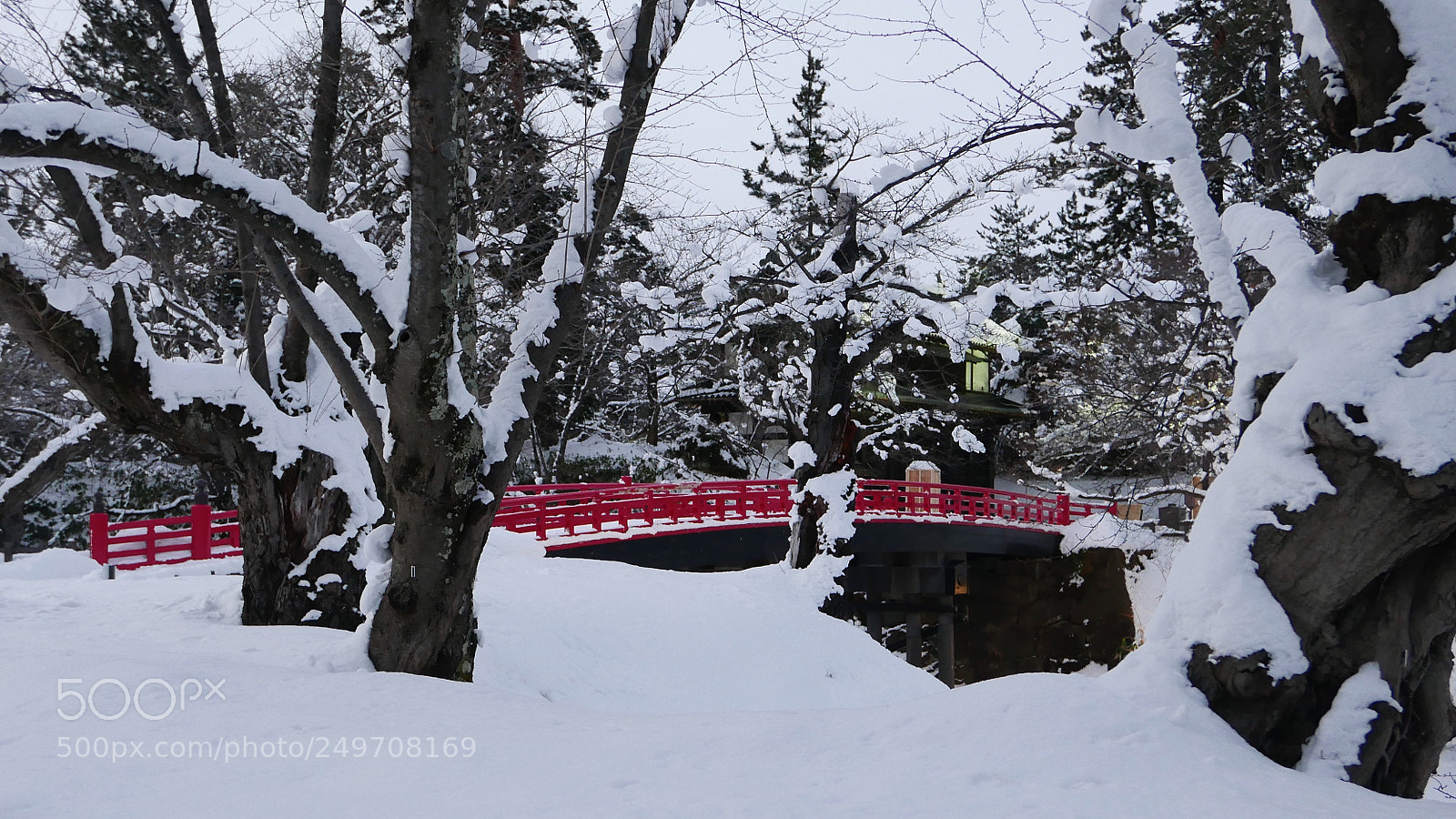 Leica D-Lux (Typ 109) sample photo. 雪后。。。 photography