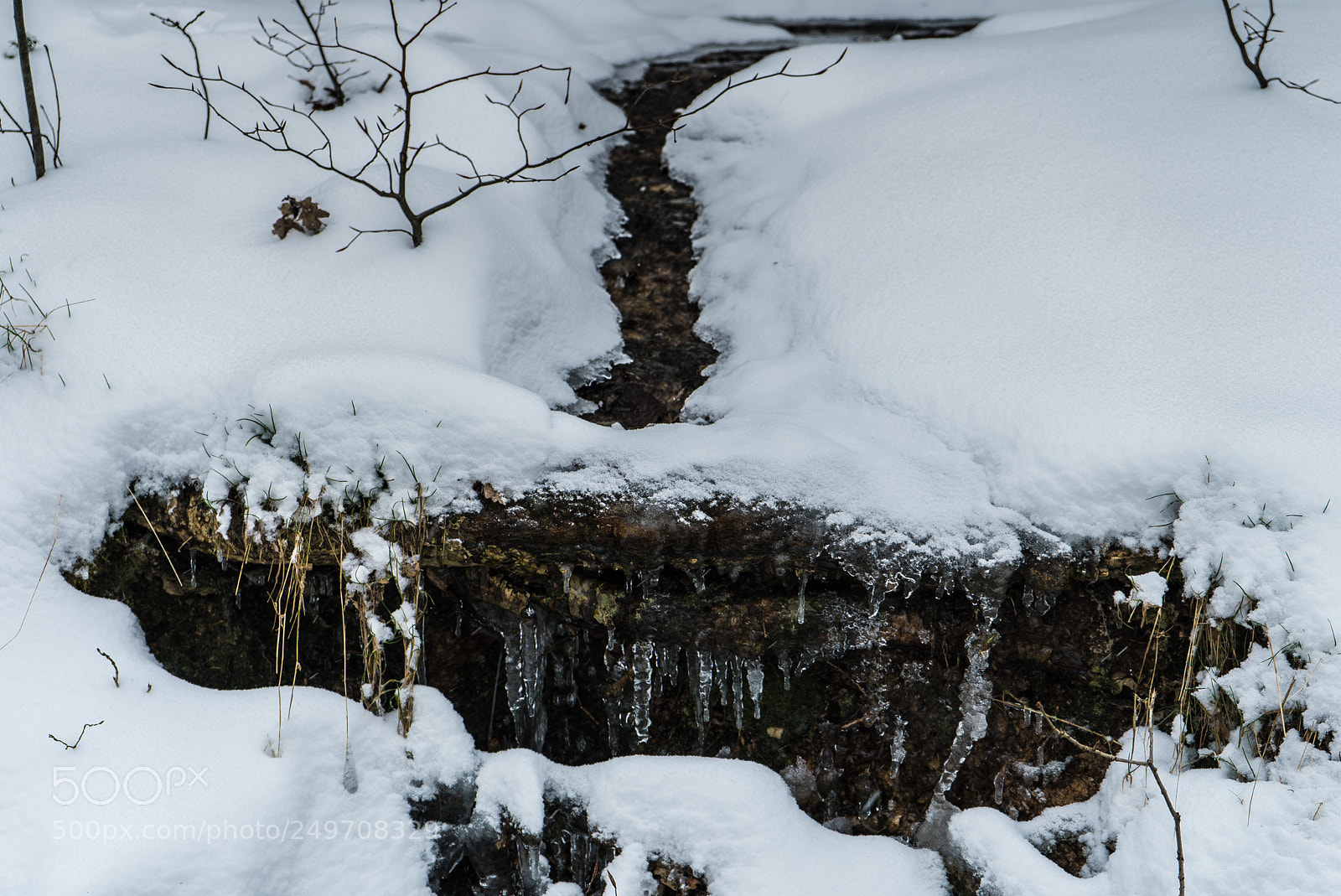 Sony a7S sample photo. Frozen photography