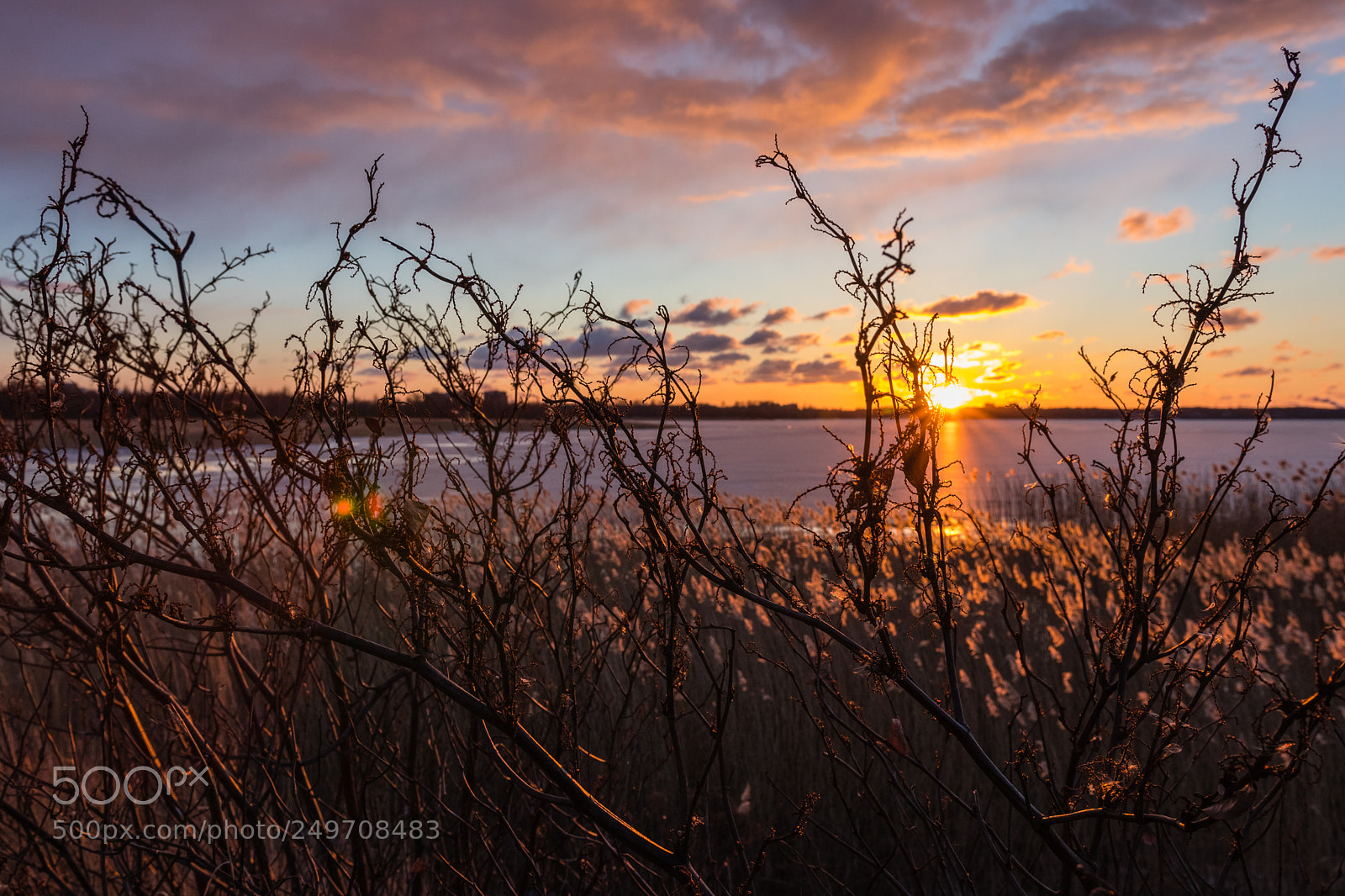 Canon EOS 80D sample photo. A golden evening at photography