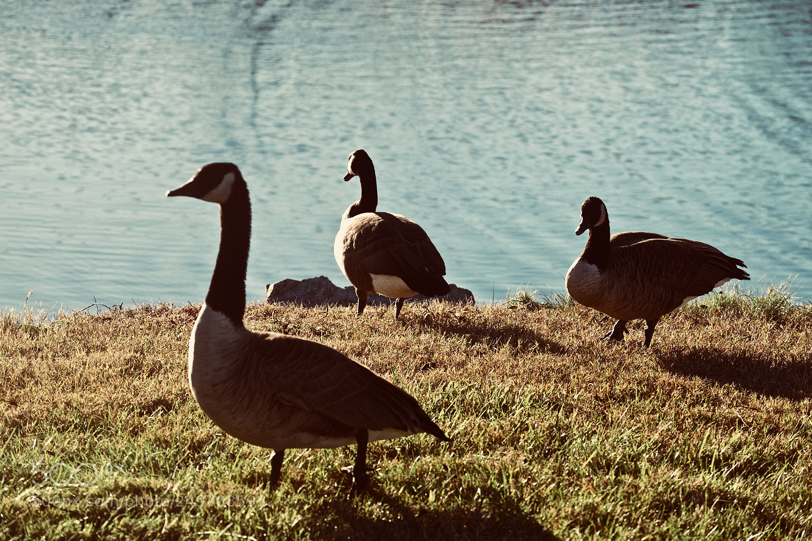 Nikon D3100 sample photo. Social life photography