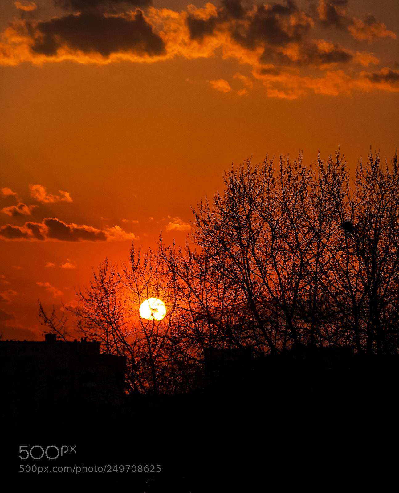 Canon EOS 40D sample photo. Robert emmerich - 82 photography